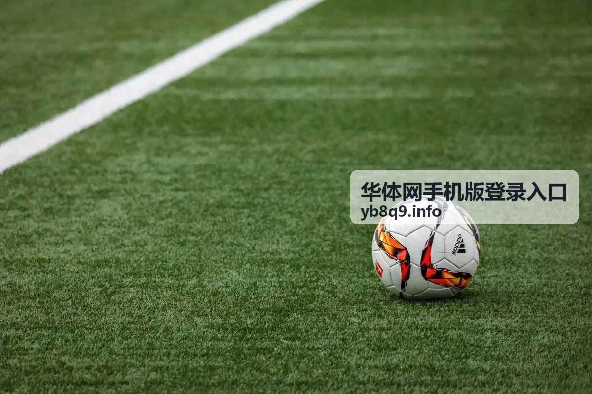 华体网手机版登录入口赛程议程总览页面