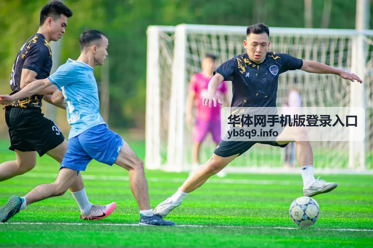 华体网手机版登录入口登录帮助说明示意图