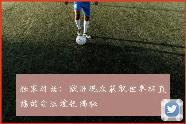 独家对话：欧洲观众获取世界杯直播的合法途径揭秘