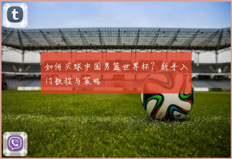 如何买球中国男篮世界杯?新手入门教程与策略
