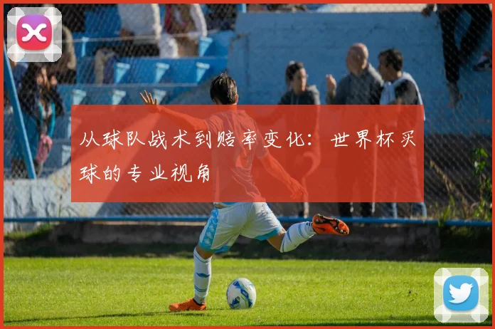 从球队战术到赔率变化：世界杯买球的专业视角