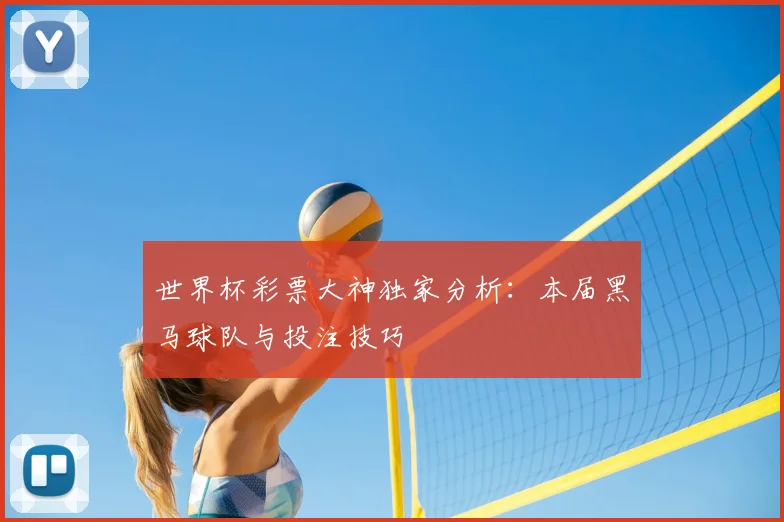 世界杯彩票大神独家分析:本届黑马球队与投注技巧