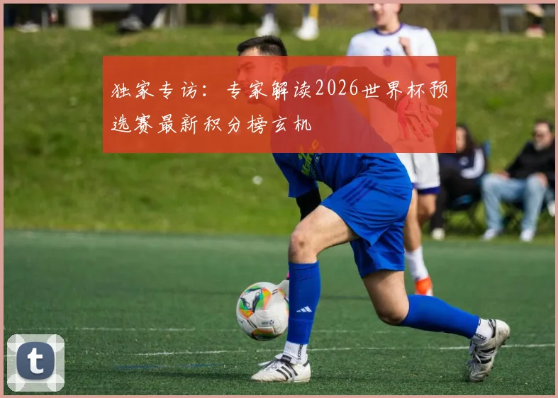 独家专访：专家解读2026世界杯预选赛最新积分榜玄机