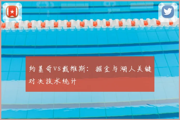 约基奇vs戴维斯：掘金与湖人关键对决技术统计